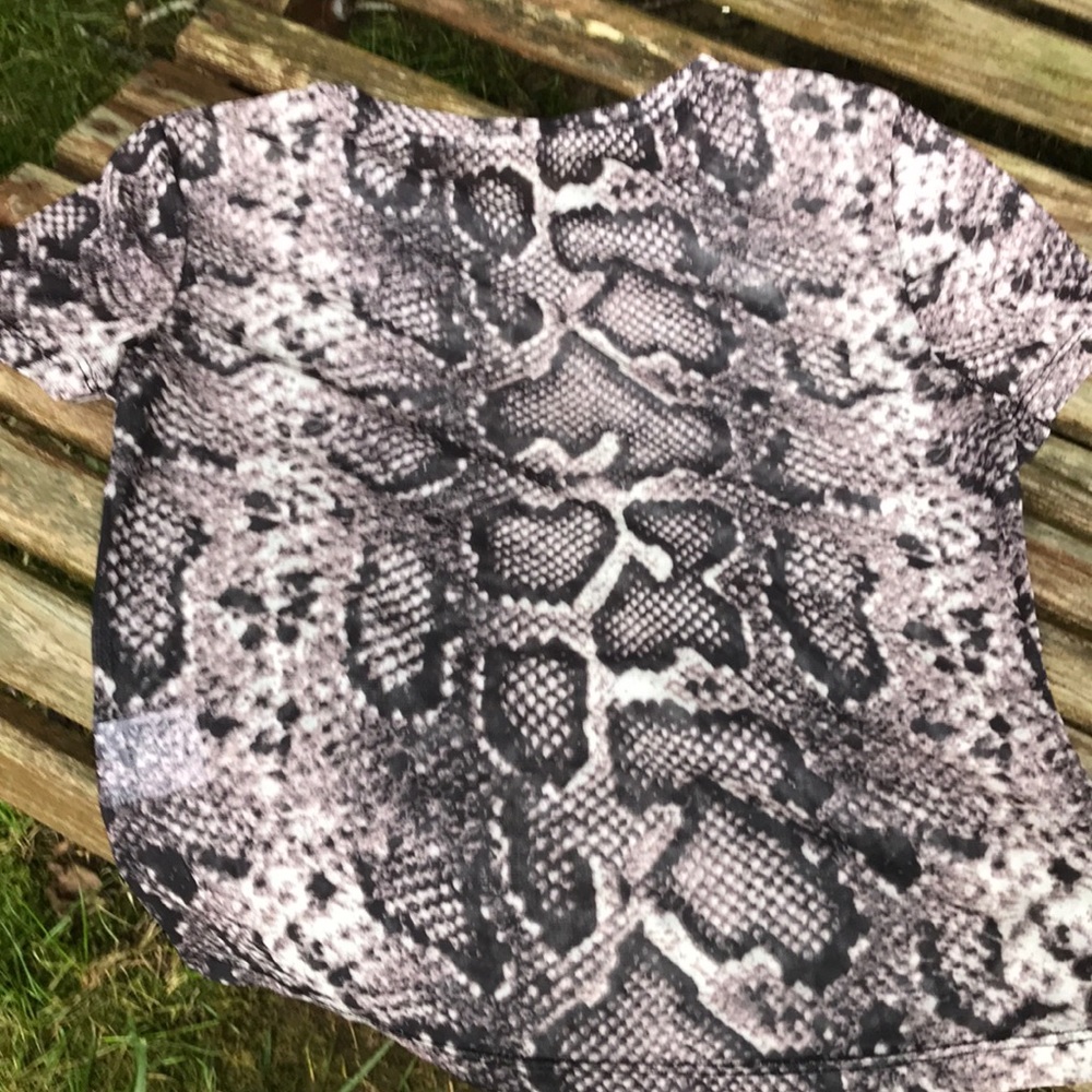 🎉HP🎉 NWOT, SHEIN Snake Skin Sheer Crop Top - Picture 5 of 10